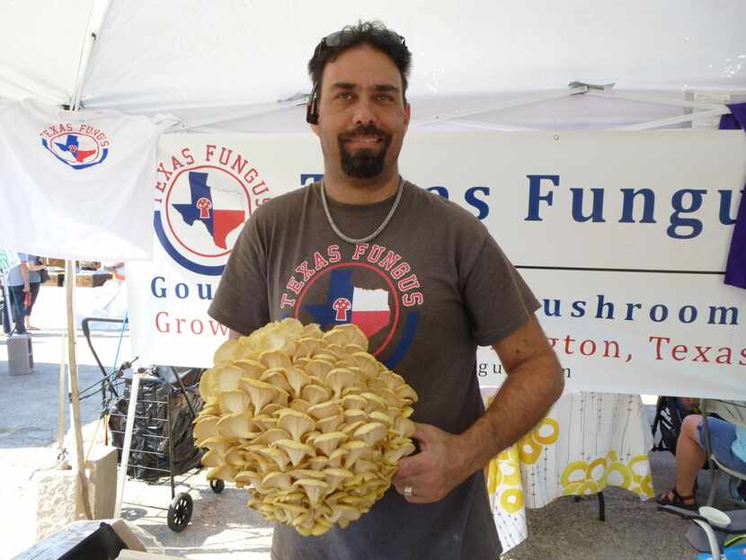 Texas Fungus' Adam Cohen showed off a 2-pound cluster of yellow oyster mushrooms last week...