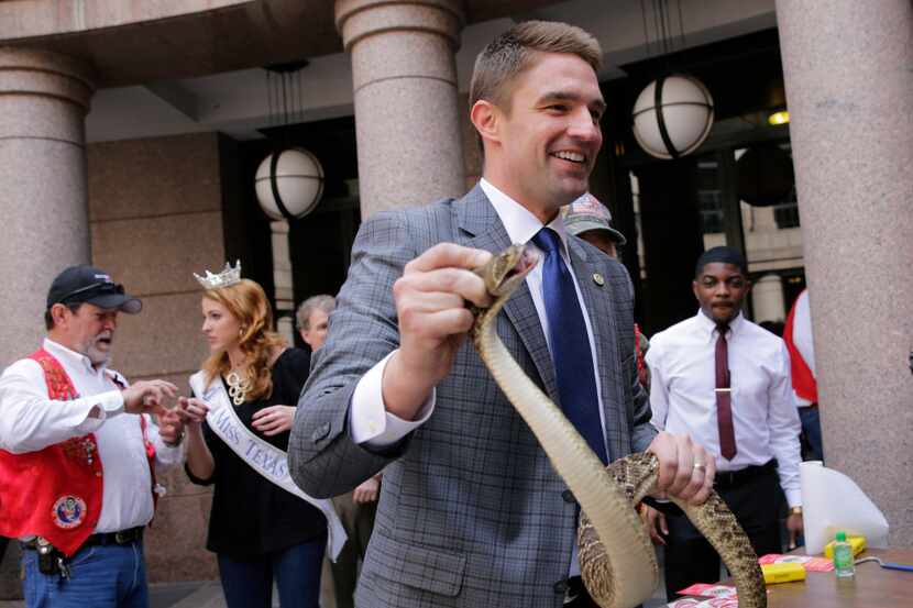 Texas Rep. Jeff Leach, R-Plano, holds a rattlesnake in the outdoor rotunda at the Texas...