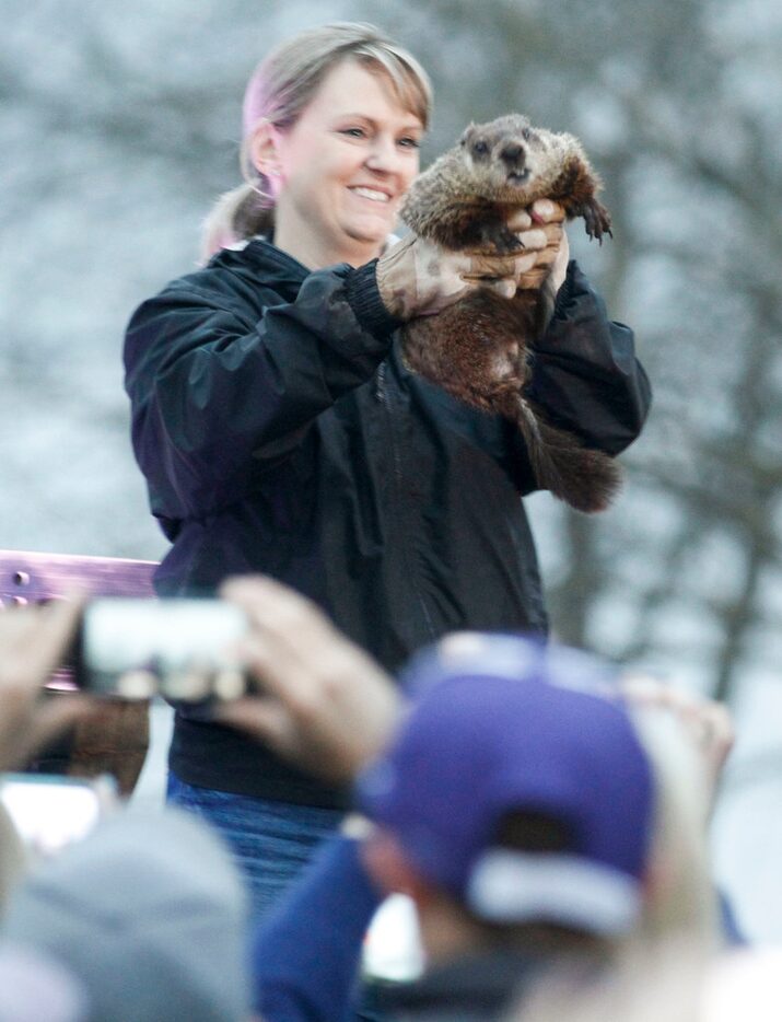 Arboretum Annie, held by Courtney Pineda of Wild Things Zoofari, emerges and does not see...