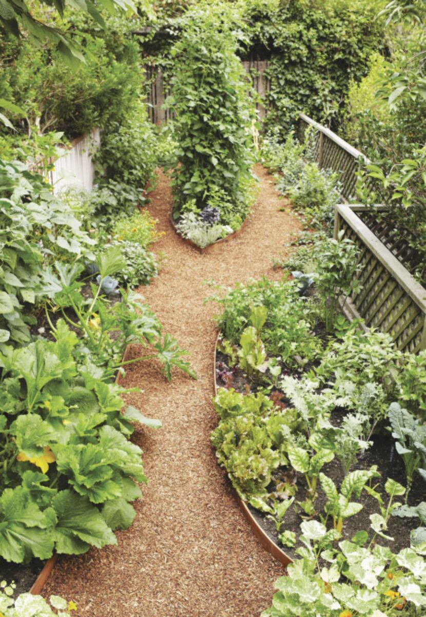 Narrow spaces around patios and in side yards can support vegetables with about 6 hours of...