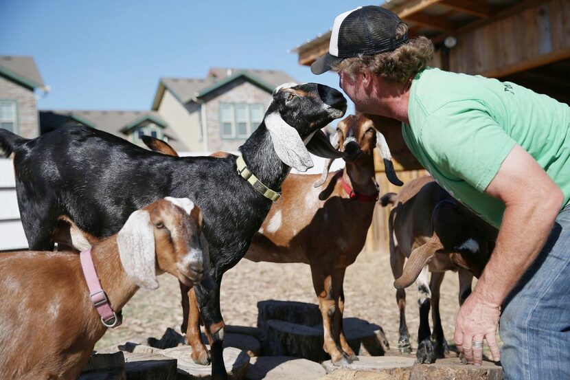 
Daron Babcock takes a break from the construction of a pigpen at Bonton Farm-Works. 

