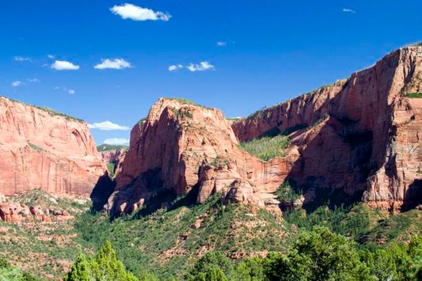 
The red cliffs of the Kolob Canyons rise high above the valley floor of Zion National Park...