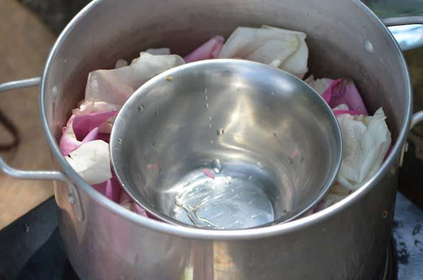 Rose water made from fresh roses from Clare Miers' garden