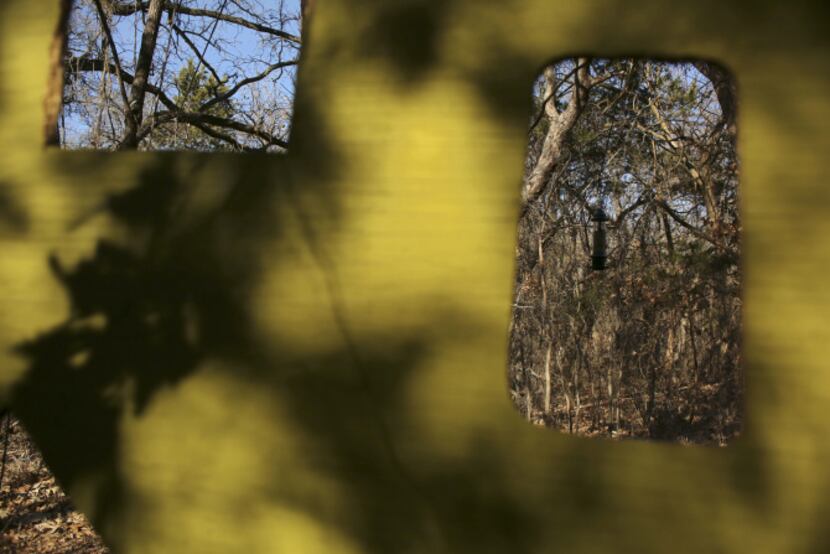 Trees can be seen through bird-viewing blinds at the Dogwood Canyon Audubon Center at Cedar...
