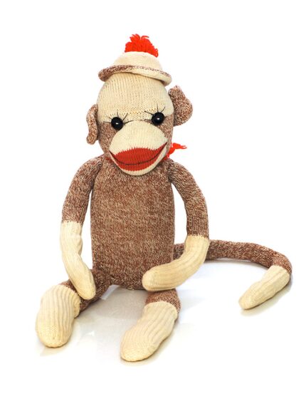 Two parents in Arizona's education savings account program misspent money on a sock monkey...