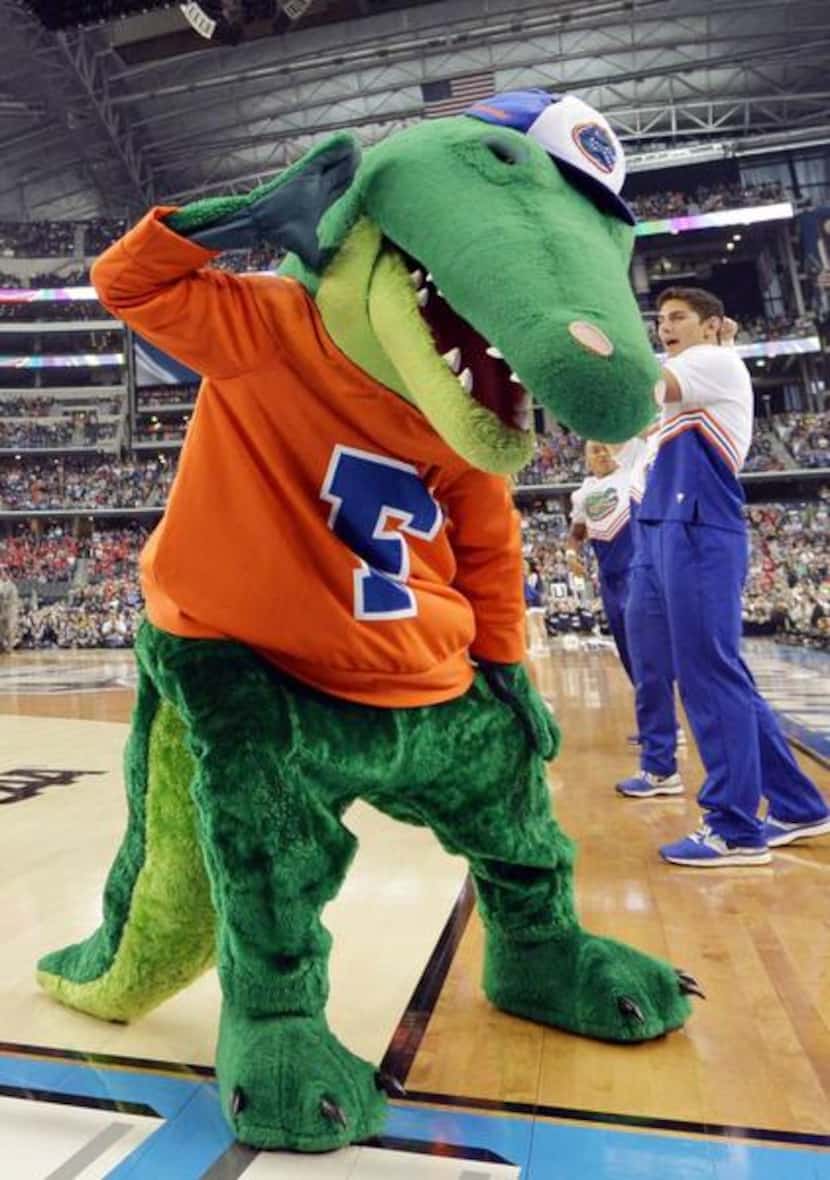 
Albert Gator, the University of Florida’s mascot, uses a mix of scripted and impromptu...