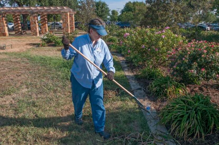 
Barbara Barbee, a master gardener, replaces mulch at Kiest Memorial Garden at Kiest Park....