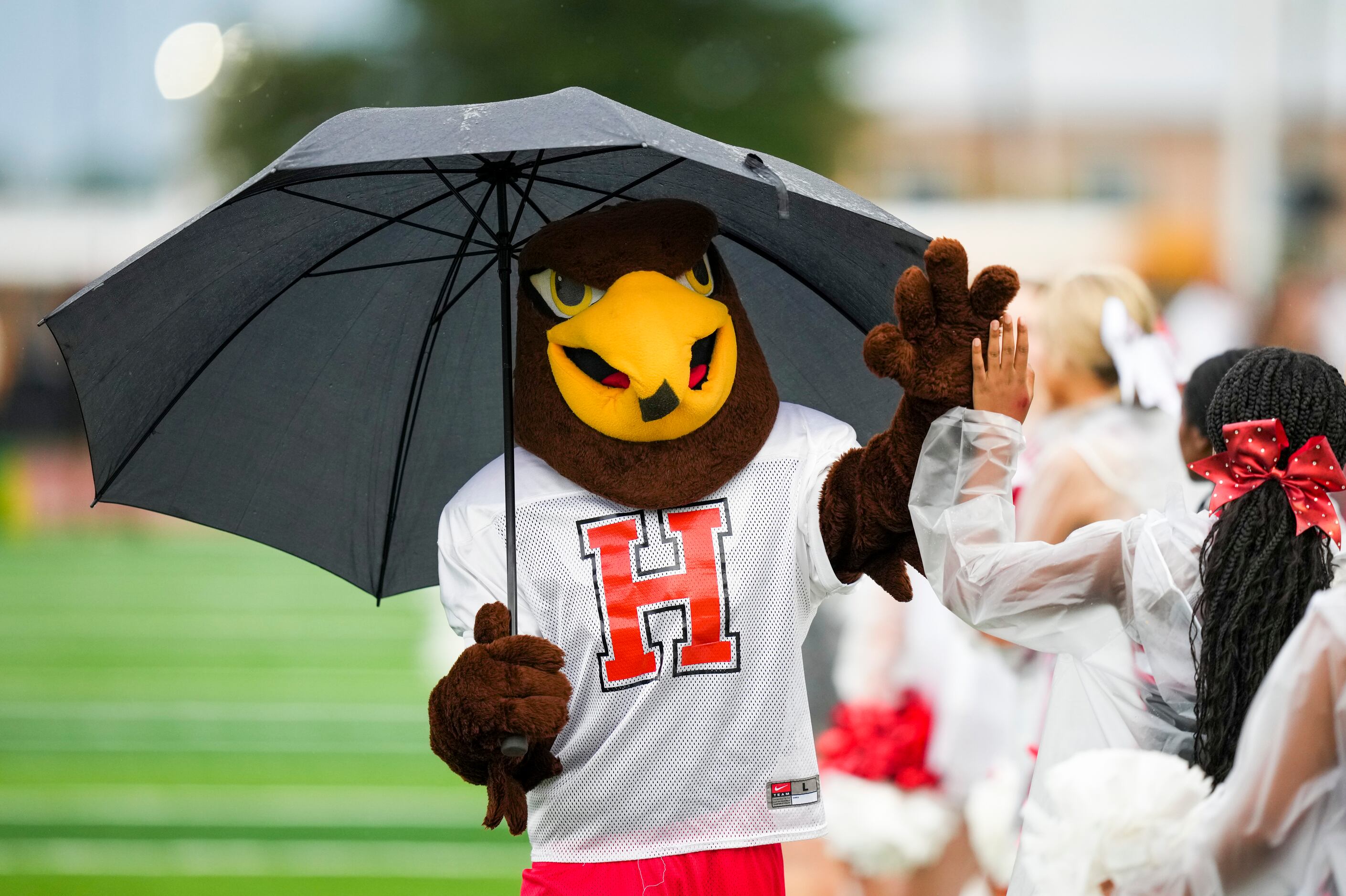 Harley Hawk, the Rockwall-Heath mascot, takes cover from the rain before a high school...