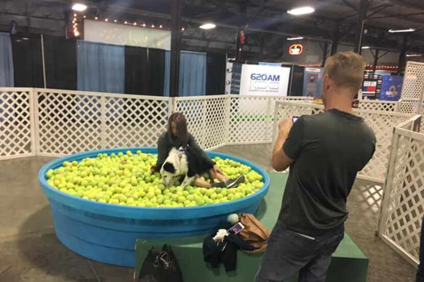 A giant dog bowl was in the art area of last year’s Deck the Paws expo.