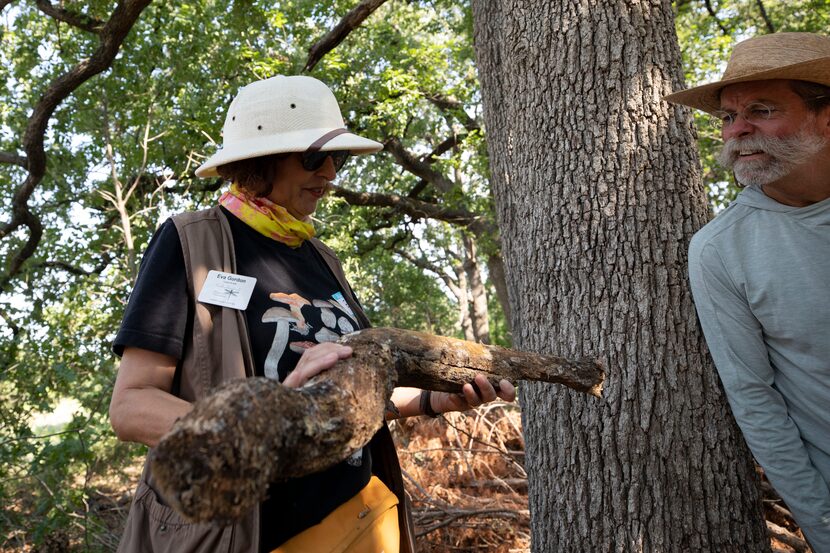 Eva Gordon (left) of the North Texas Mycological Association and Bob Richie (right) of the...