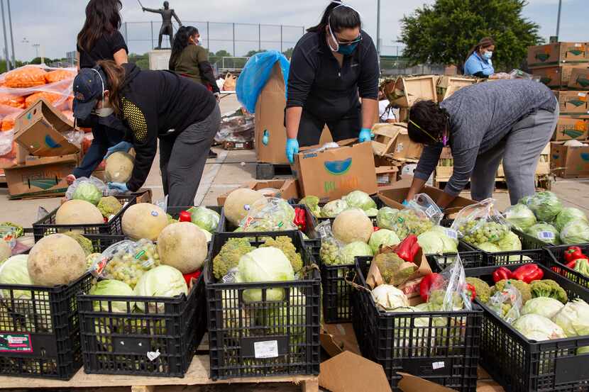Voluntarios del Harvest Food Project Rescue entregan cajas de frutas y vegetales en el...