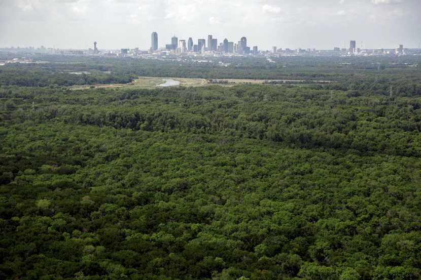 The Great Trinity Forest as it looked from above in 2013.