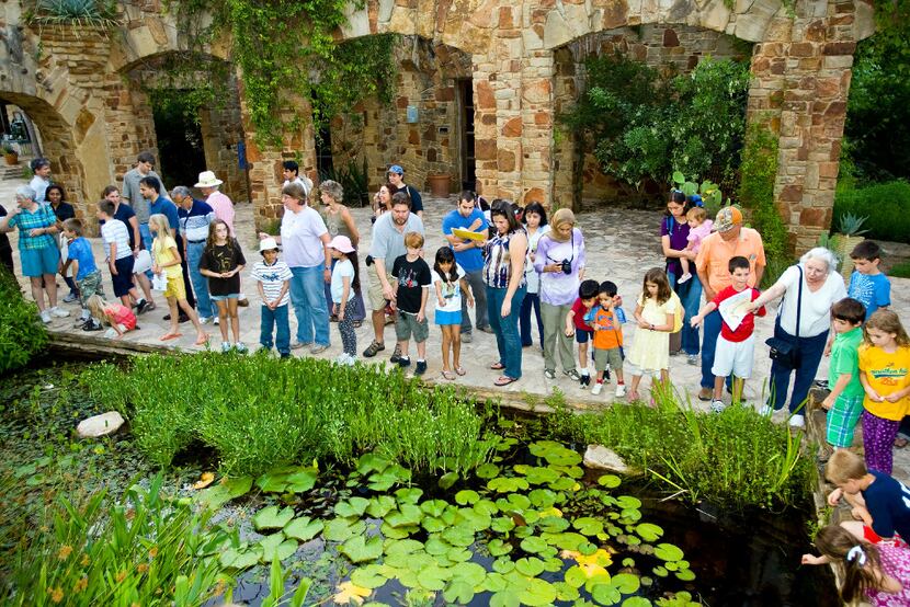 Families search for frogs in the wetland pond at the Lady Bird Johnson Wildflower Center. 