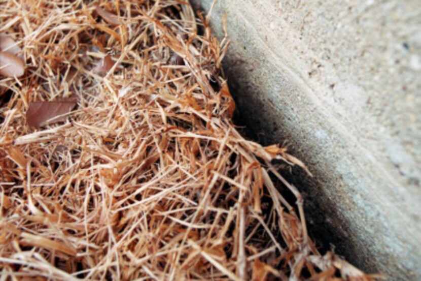 It is important to keep the soil around your home's foundation evenly moist. But the hose...