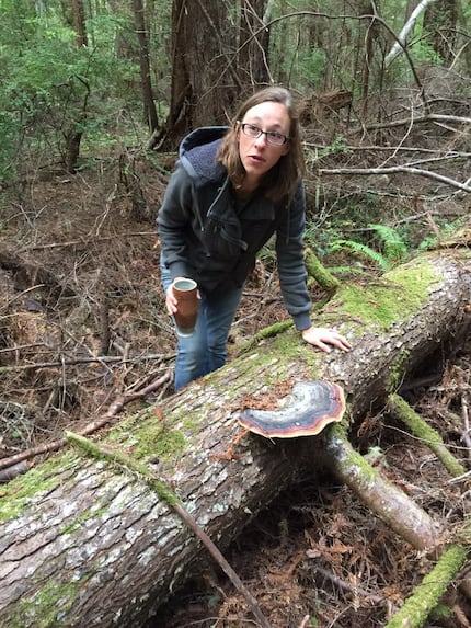 "mushroom mama" Adrienne Long  will guide you through backwoods for dinner plate-sized fungi...