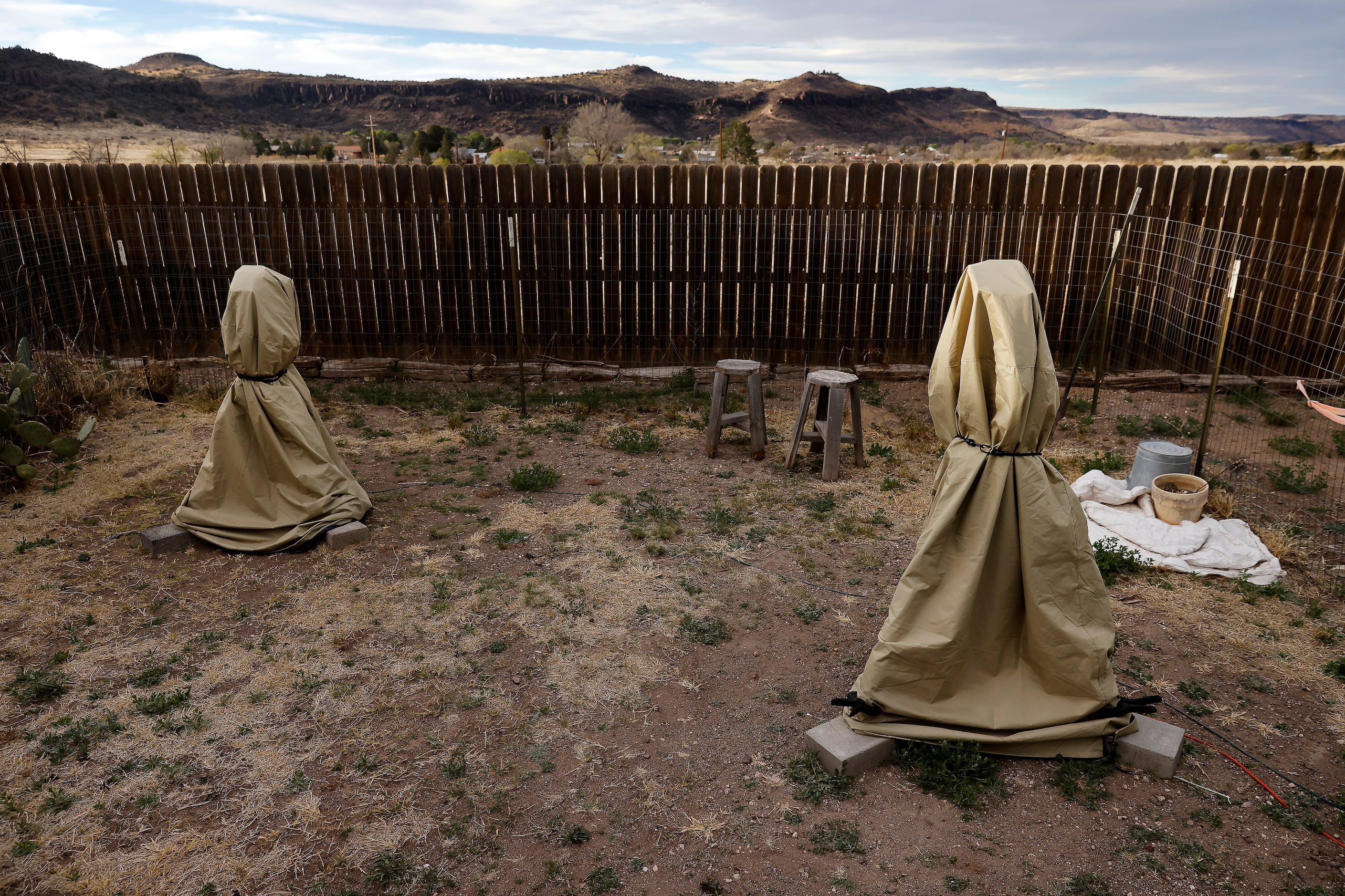 On clear nights, former McDonald Observatory volunteer Peter Armstrong, 78, photographs dark...