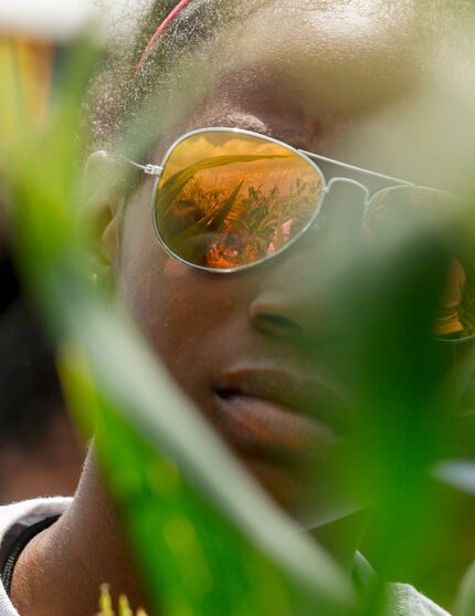 Stalks of corn are reflected in Charisma Williams,13, sunglasses as she walks through one of...