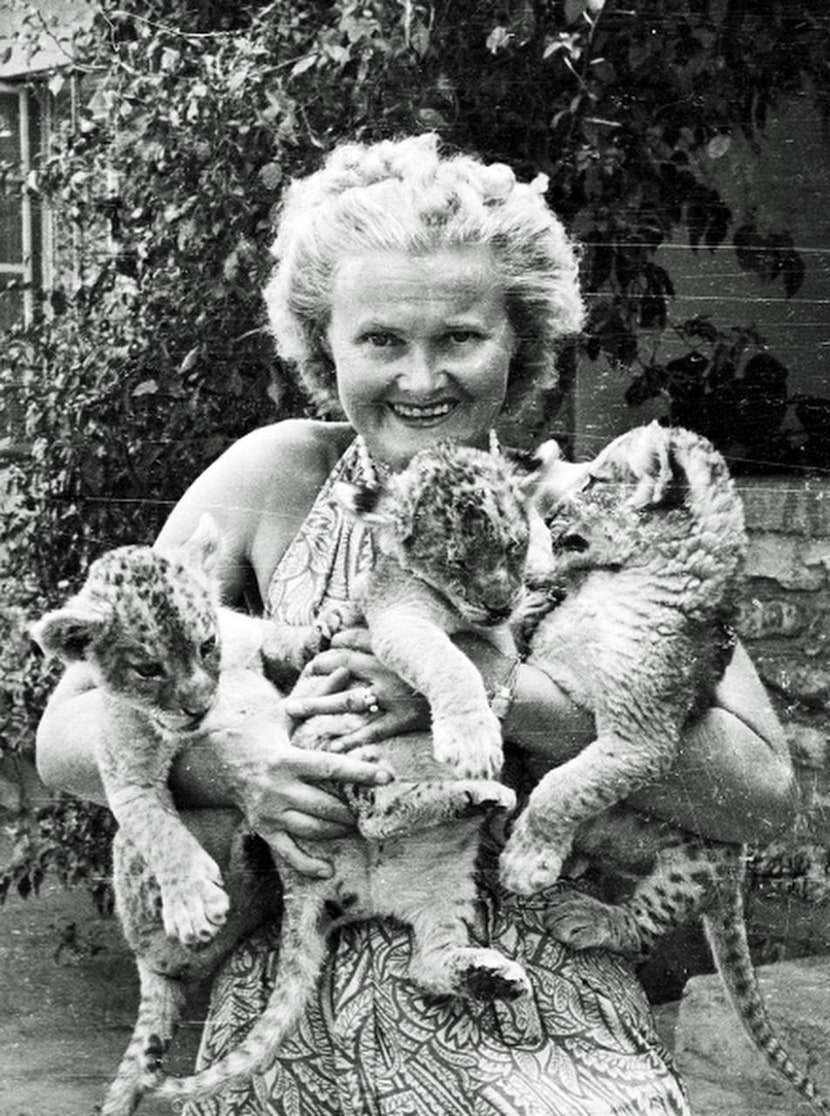 Joy Adamson drew from her husband's accounts when writing Born Free, the book