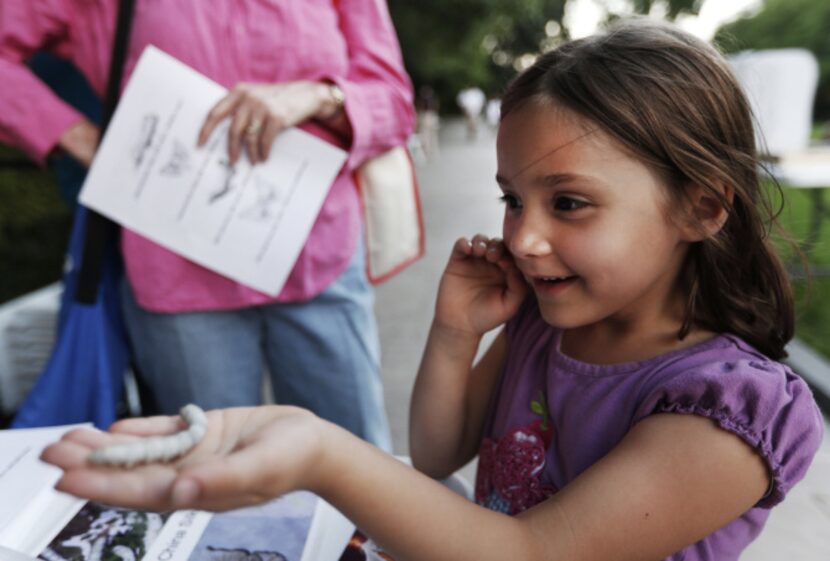 Sarah Friedl, 6, reacts as a silk worms crawls on her hand during a Nocturnal moth watching...