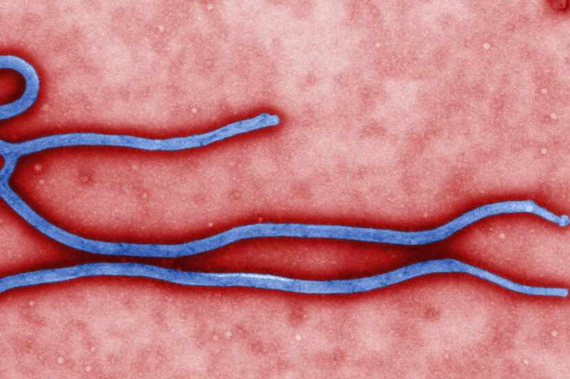Ebola virus (AP/Photo)