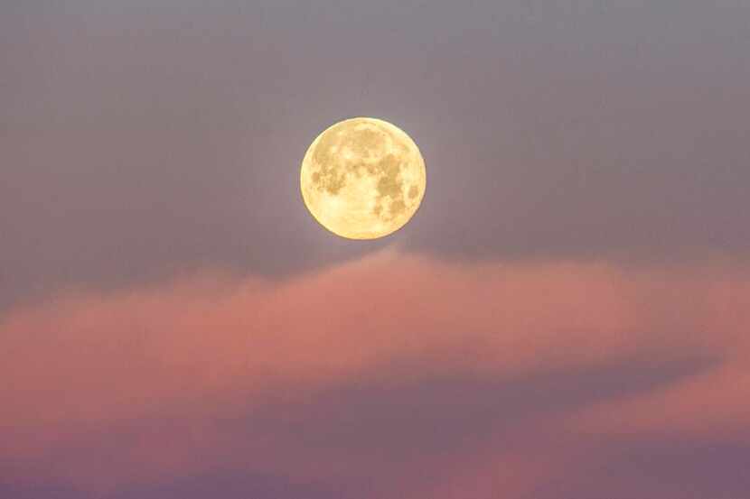 La luna llena sobre el cielo de Texas.(GETTY IMAGES)
