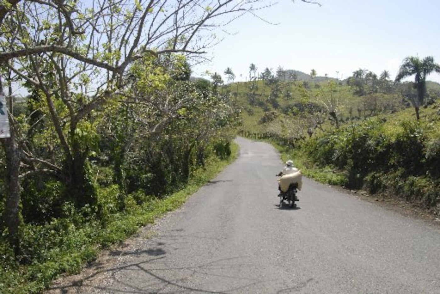 The road to Las Terrenas, Samana Peninsula, Dominican Republic. 