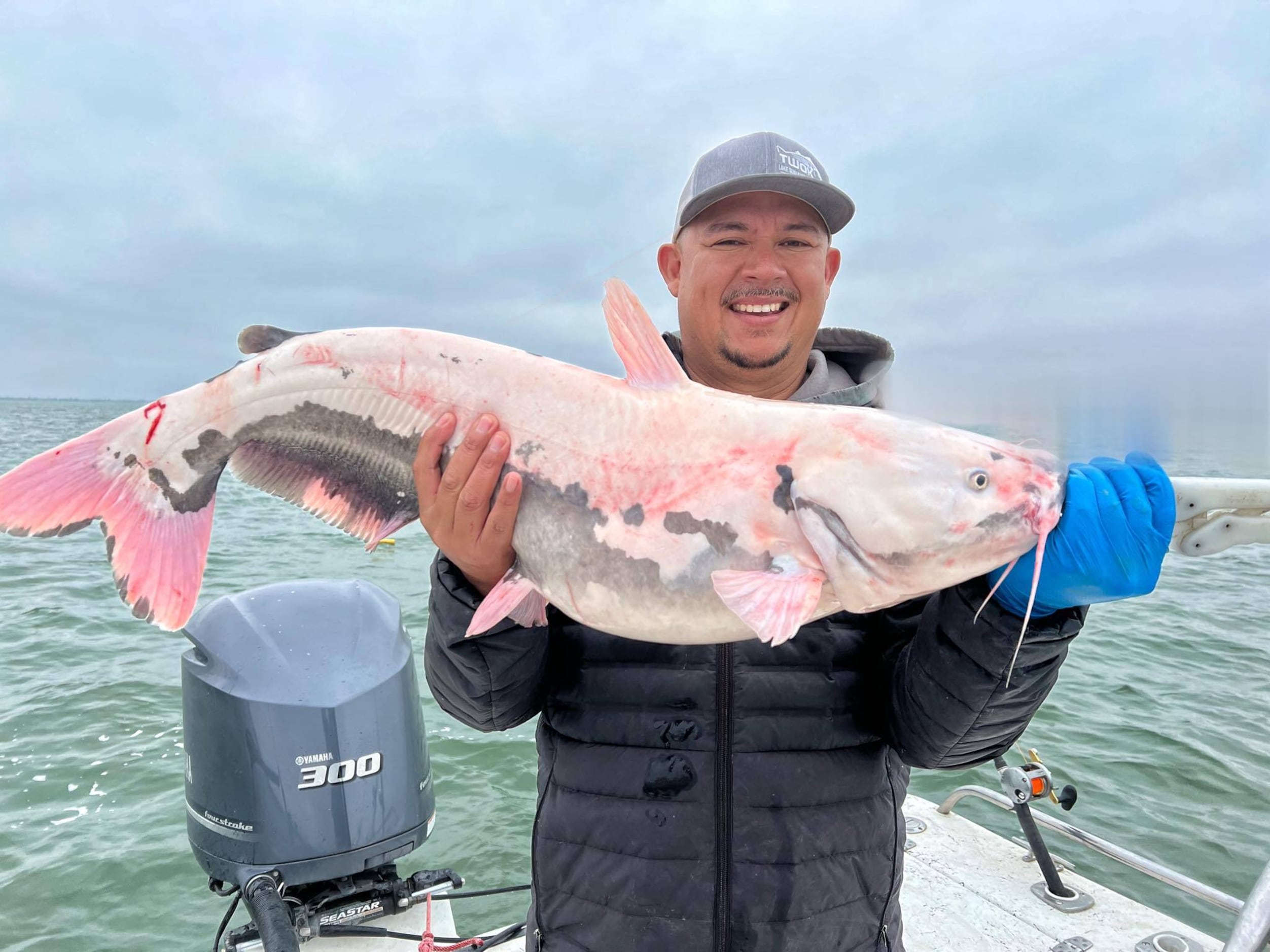 Extraordinary catches: Big catfish guides aid in landing lunkers of special  sizes and colors