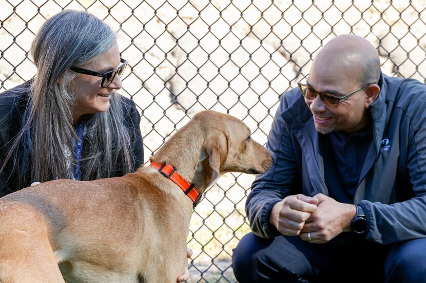 MeLissa Webber, Dallas Animal Services director, and Operation Kindness CEO Ed Jamison with...