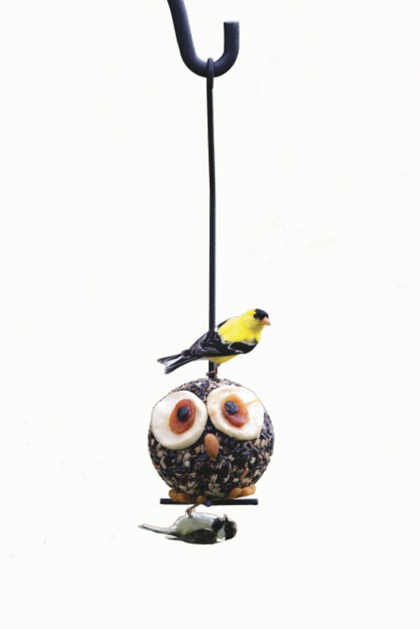 Hoot the Owl serves up seeds and dried fruits to chickadees, woodpeckers, goldfinches and...