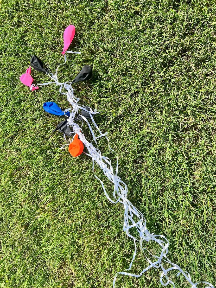 A string of balloons spooked deer at 4 Generations Ranch, causing them to run into the fence.