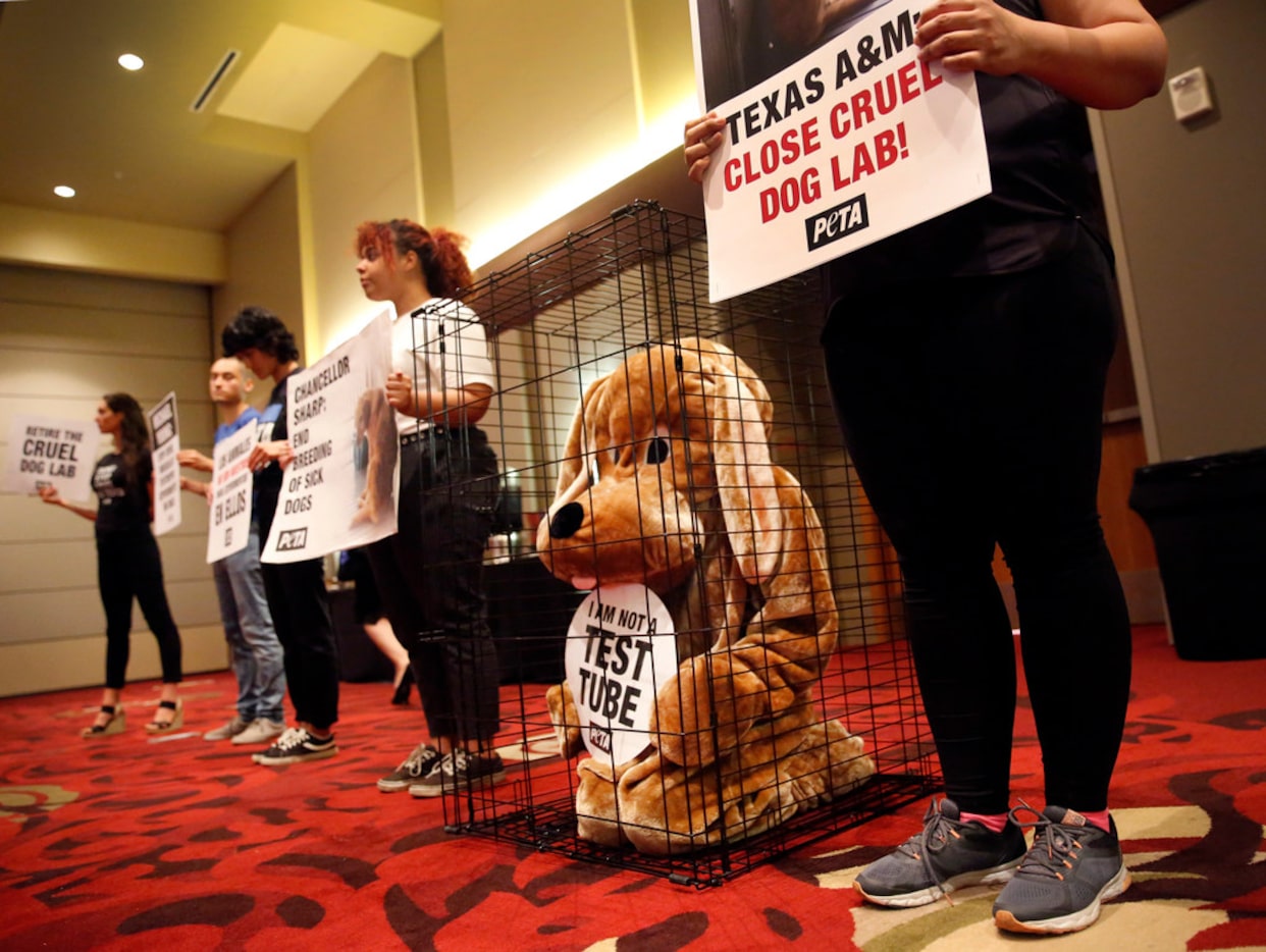 PETA supporters, including Shane Phoenix dressed as a dog in a cage, silently protested from...