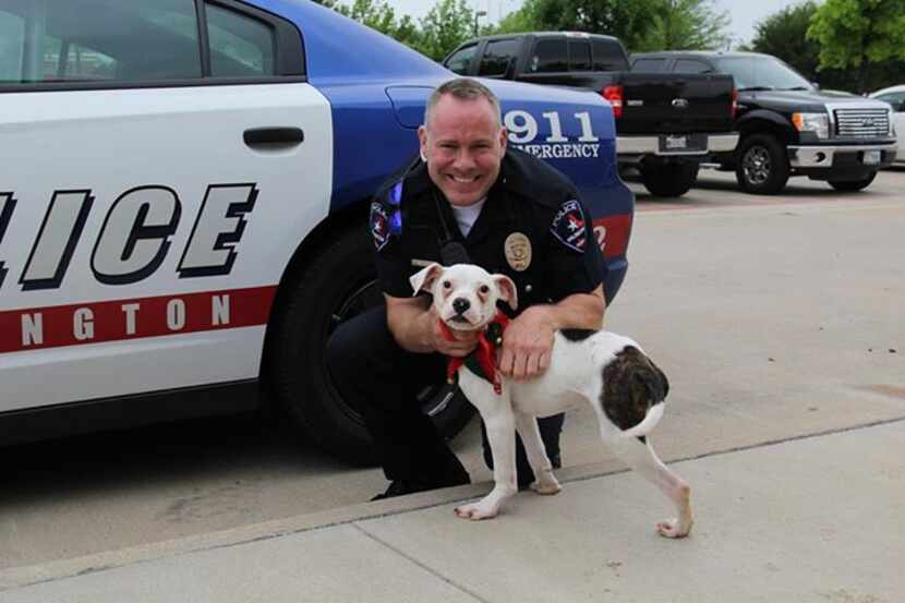  Officer Brad MillerÂ and Lily the Boxer Terrier.