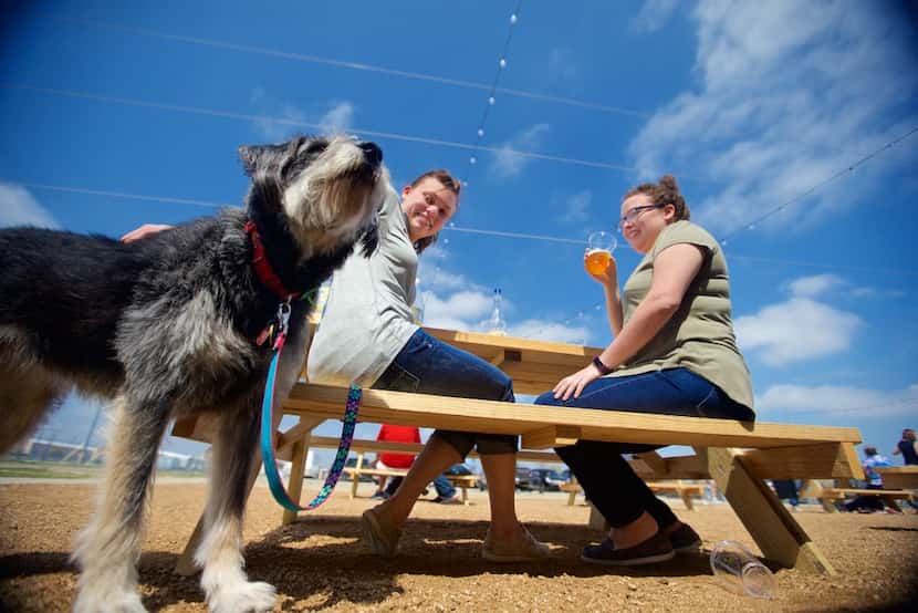 Brittany Kegley, left, with her dog Harley and Jennifer Heaton enjoy a beer at Good Neighbor...