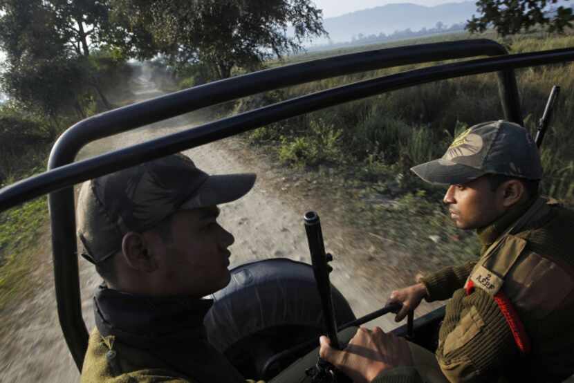 Forest guards patrol inside the Kaziranga National Park. Poachers are laying siege,...