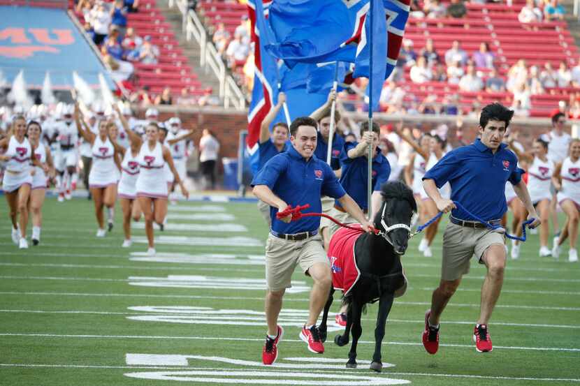 SMU shetland pony mascot "Peruna" is run in front of the team as they entered the field...