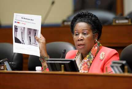 Rep. Sheila Jackson Lee, a Houston Democrat, was also selected as a member of the task force. 
