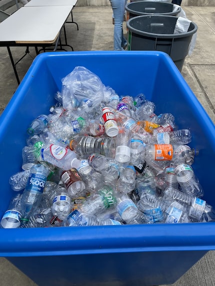 Big blue bin filled with empty plastic bottles for recycling.