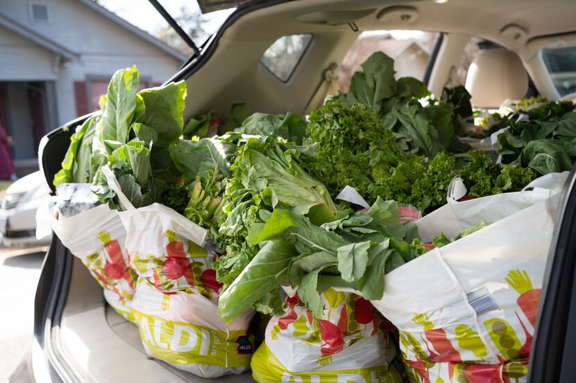 Community members work together to farm on the land of Neyssa Shockley’s families land  in...