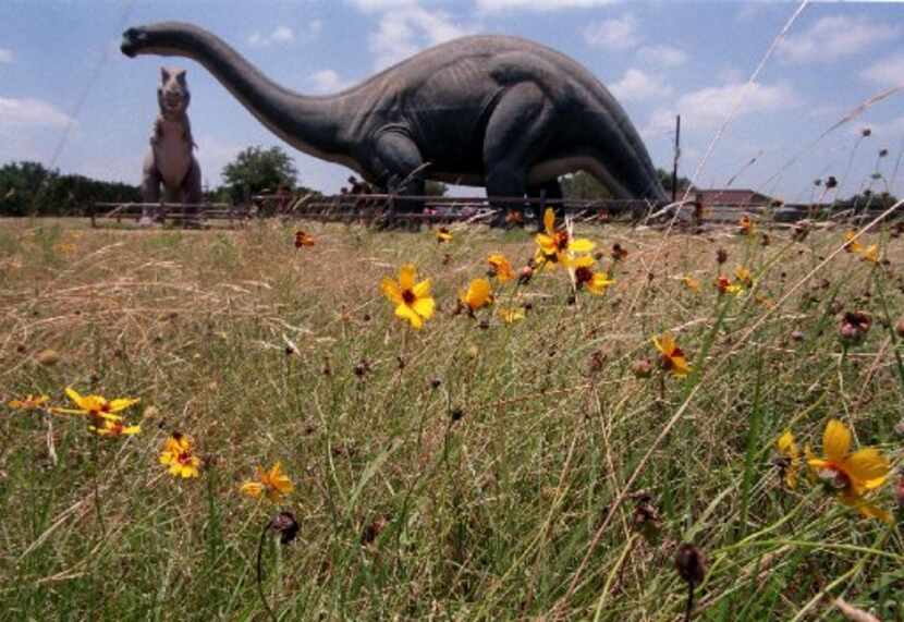 Two life-sized dinosaurs greet visitors at the entrance of the Dinosaur Valley State Park in...