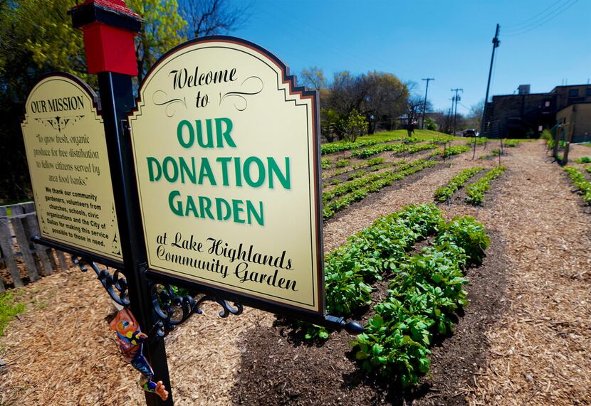 All of the food grown in the Donation Garden at the Lake Highland Community Garden is given...