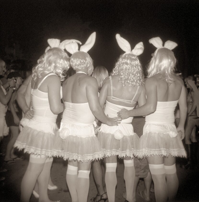  Bunnies 2009 Â©Gordon Stettinius