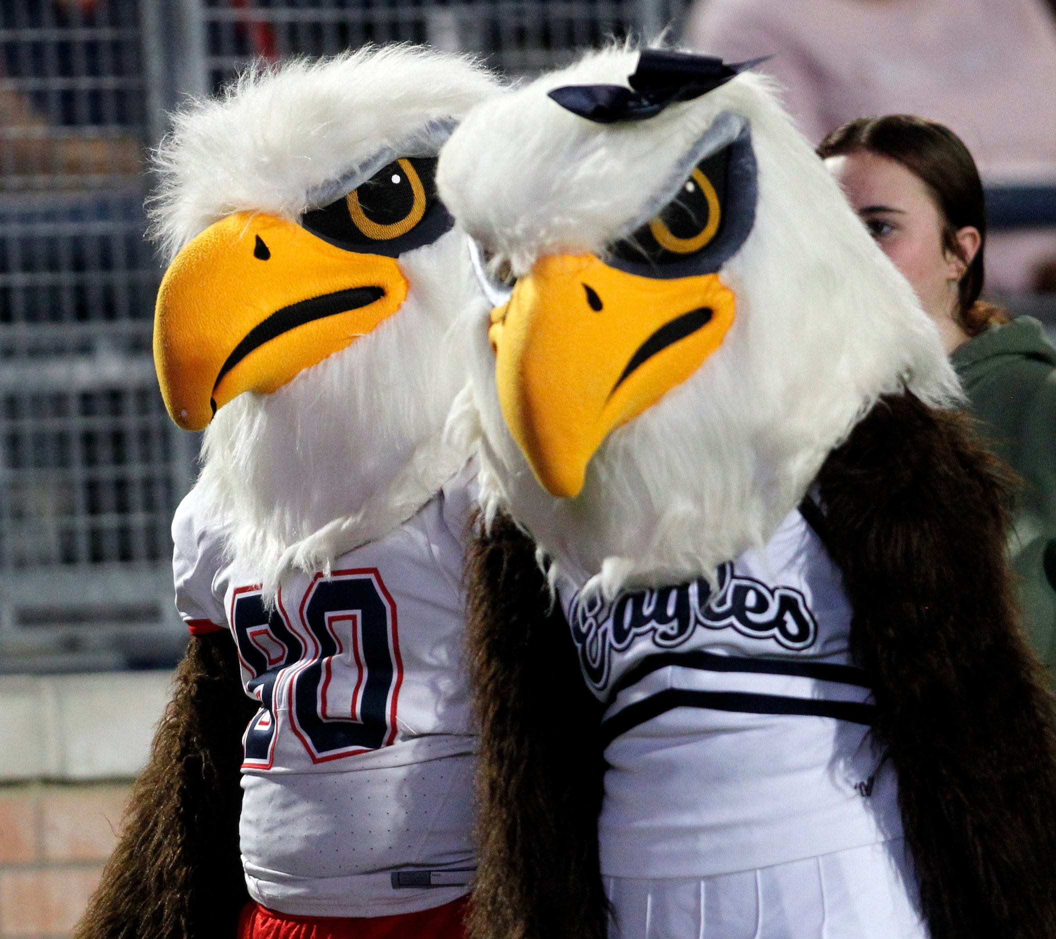 A couple of Allen Eagles mascots peruse the home sidelines during first half action against...