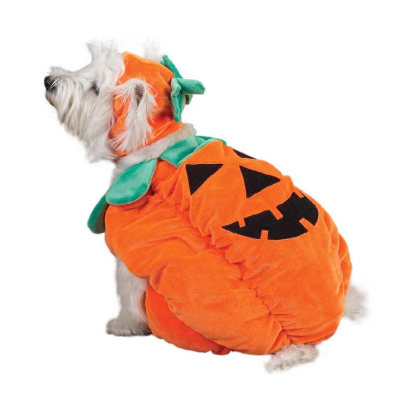 One of PetEdge's perennial faves, the costume comes in sizes from extra-small to...