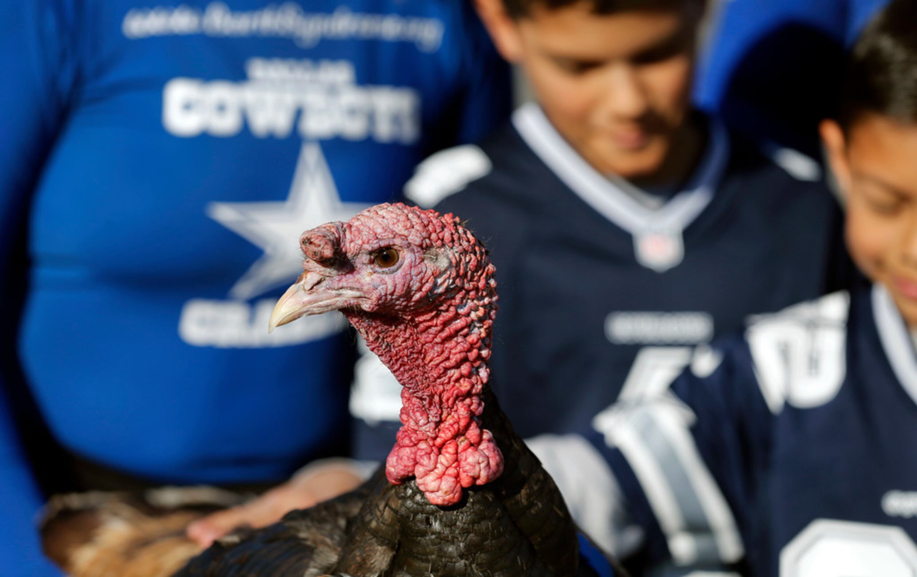 Eagles proposed altering Thanksgiving tradition for Lions, Cowboys