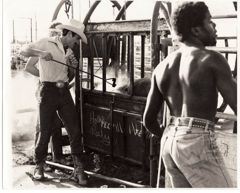 A livestock auction in Clovis, N.M., circa 1978, about the time Sarah Bird first heard the...