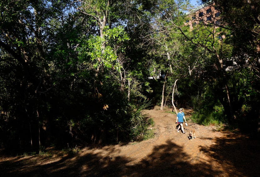 Stephen Aprel of Dallas walks his dog Caden, along the Bachman Greenbelt trial near Lemmon...