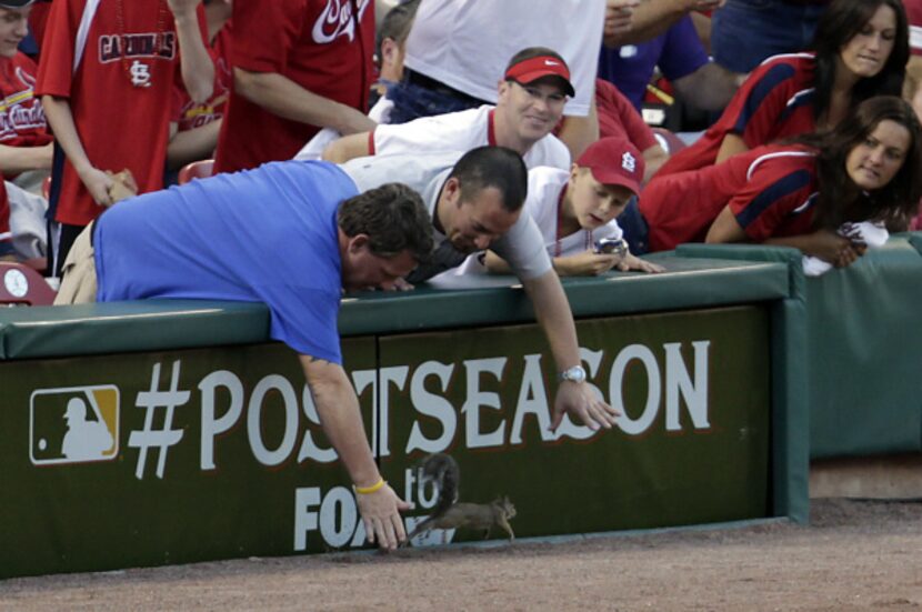 During Game 3 of the National League Division Series, a squirrel streaked across the...