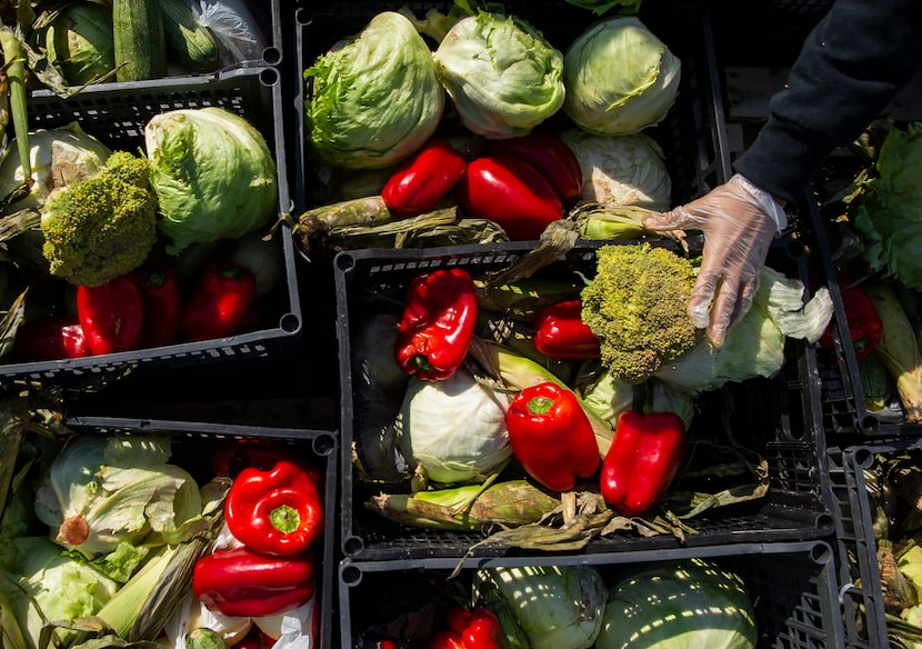 Volunteers with the Harvest Food Project Rescue, the Ledbetter Neighborhood Association and...