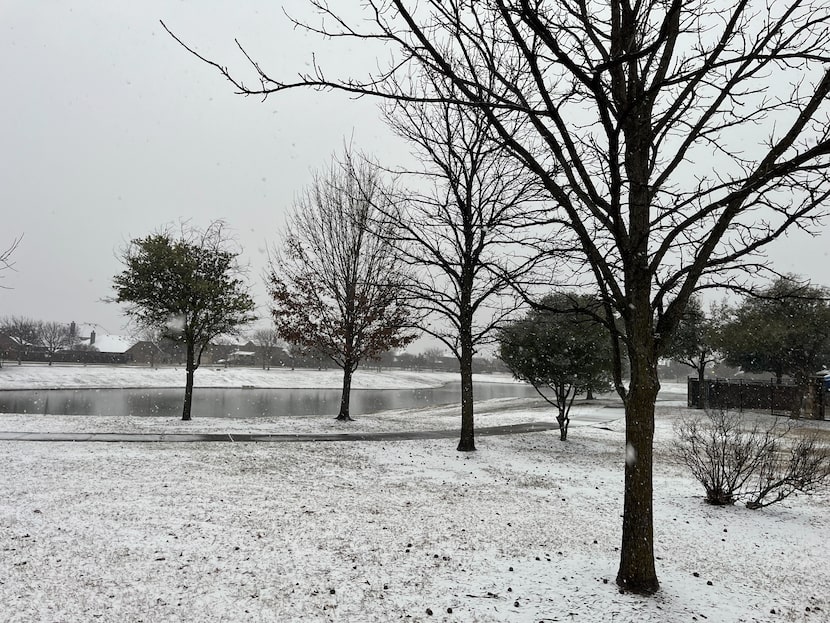 Snowfall early Jan. 9, 2025, in Frisco.