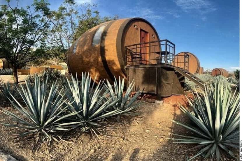 En México se produce casi un millón de litros diarios de tequila